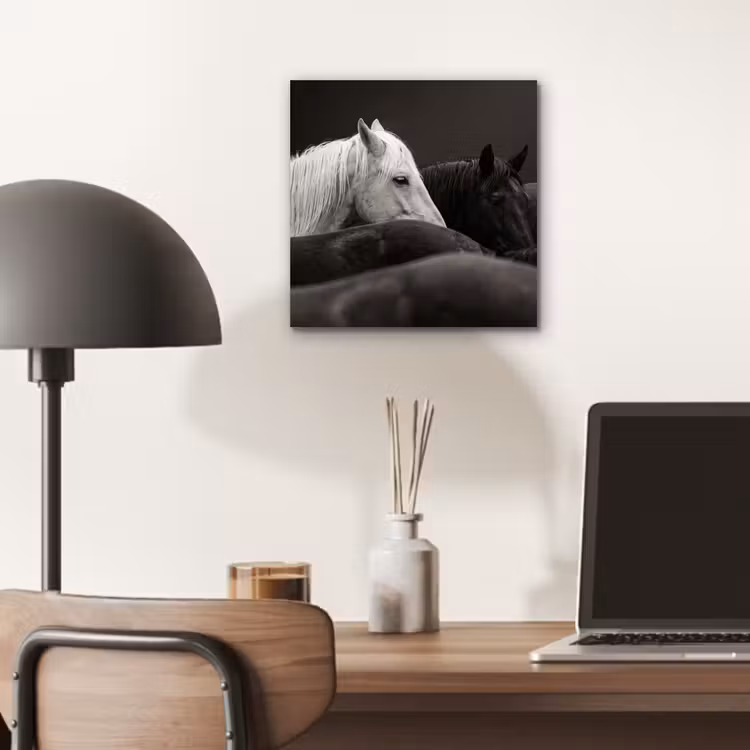 Paarden - Zwart - Wit - Kudde aluminium wit klein -sfeer5