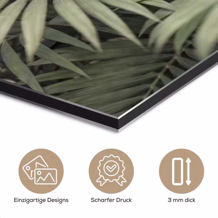 Plant - Palmbladeren - Natuur - Groen aluminium wit klein -closeup_DE