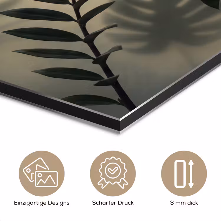 Planten - Bladeren - Schaduwen - Groen - Modern aluminium wit klein -closeup_DE