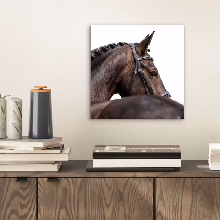 Portret - Paard - Elegant aluminium wit klein -sfeer1