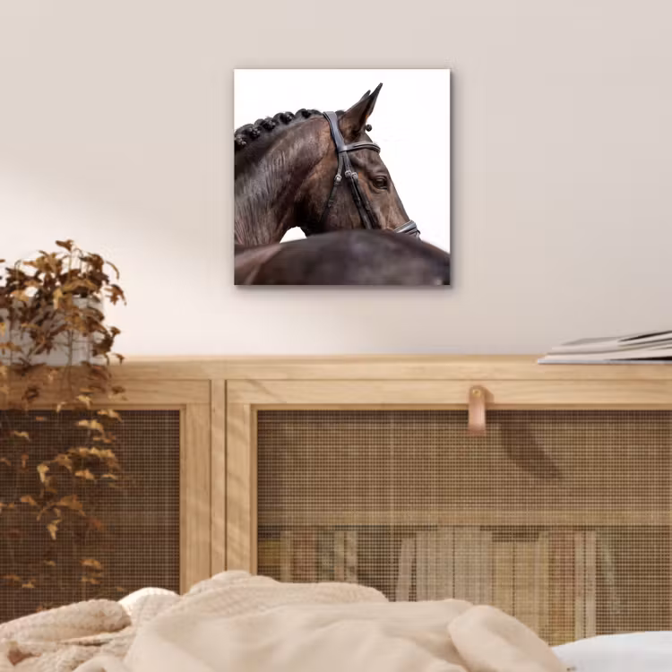 Portret - Paard - Elegant aluminium wit klein -sfeer3