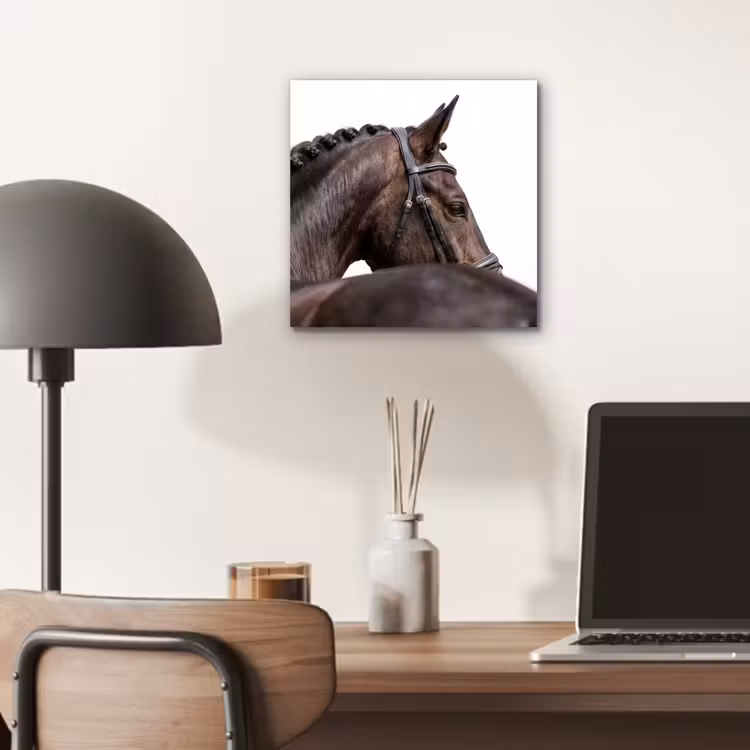 Portret - Paard - Elegant aluminium wit klein -sfeer5
