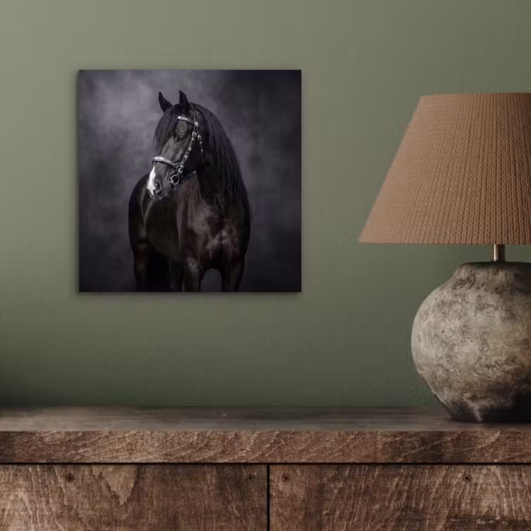Portret - Paard - Zwart aluminium wit klein -sfeer2