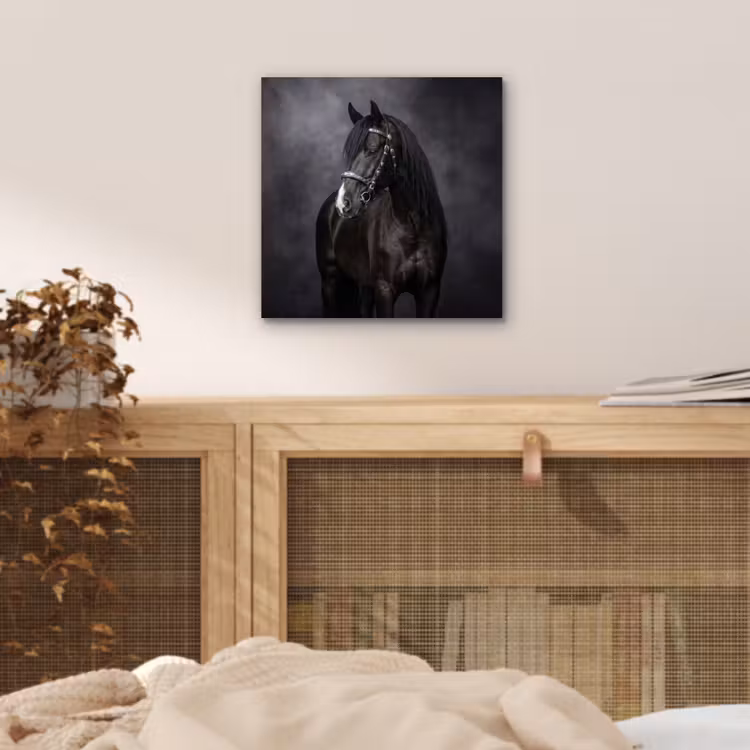 Portret - Paard - Zwart aluminium wit klein -sfeer3