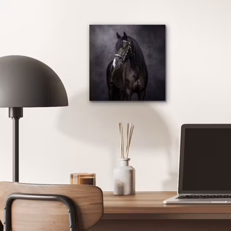 Portret - Paard - Zwart aluminium wit klein -sfeer5