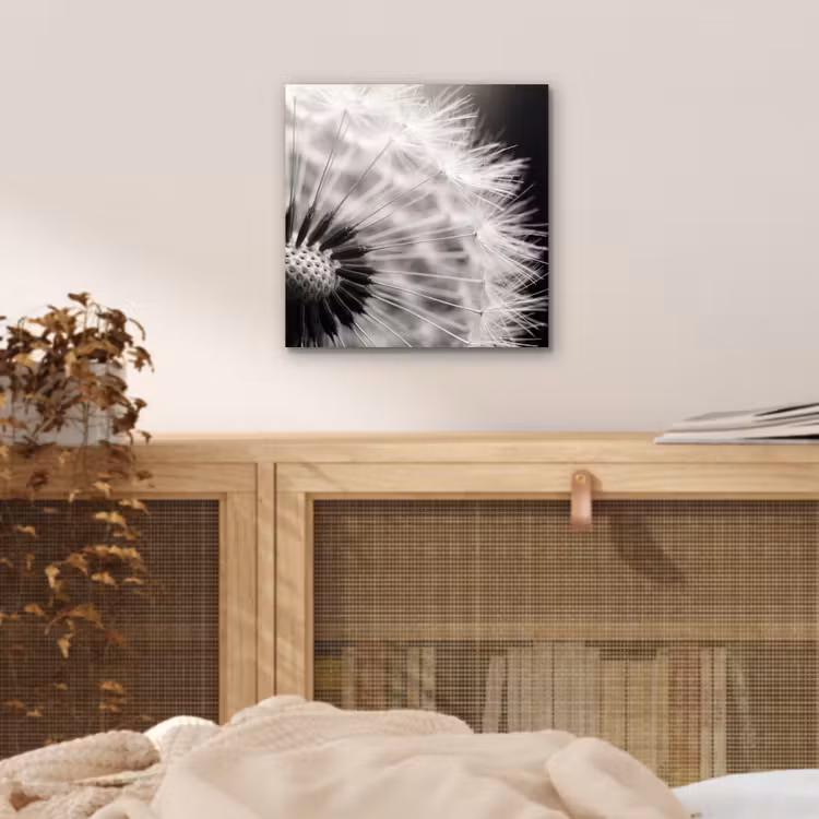 Paardenbloem - Zwart - Wit aluminium wit klein -sfeer3
