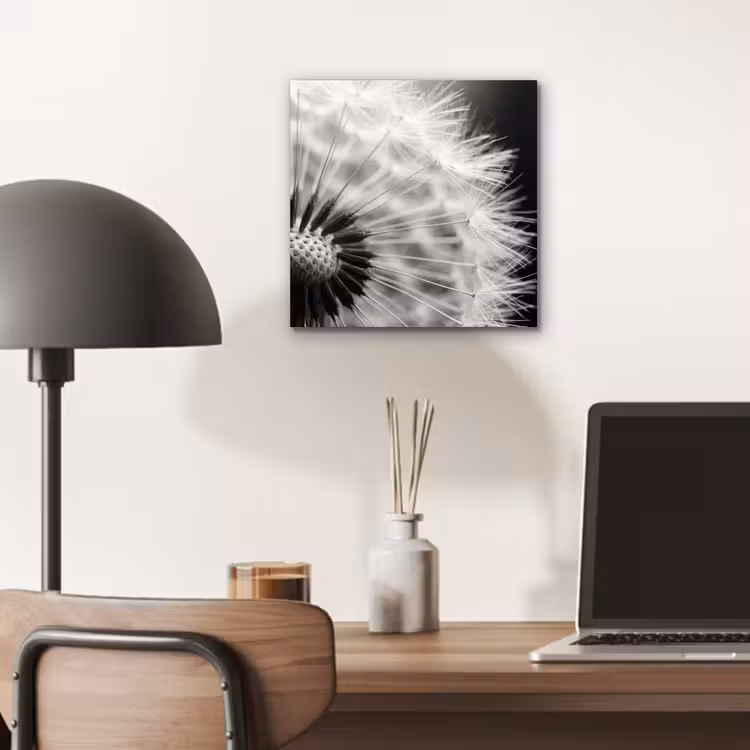 Paardenbloem - Zwart - Wit aluminium wit klein -sfeer5