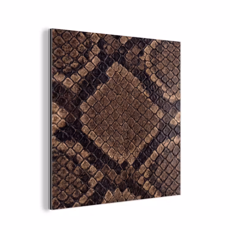 Python - Schubben - Brons aluminium wit klein -3d
