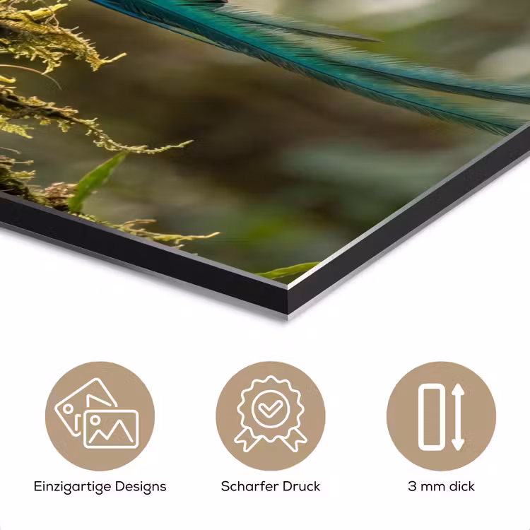 Quetzal - Jungle - Natuur - Groen aluminium wit klein -closeup_DE