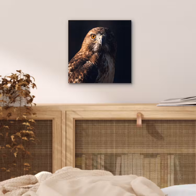 Roofvogel - Buizerd - Bruin aluminium wit klein -sfeer3