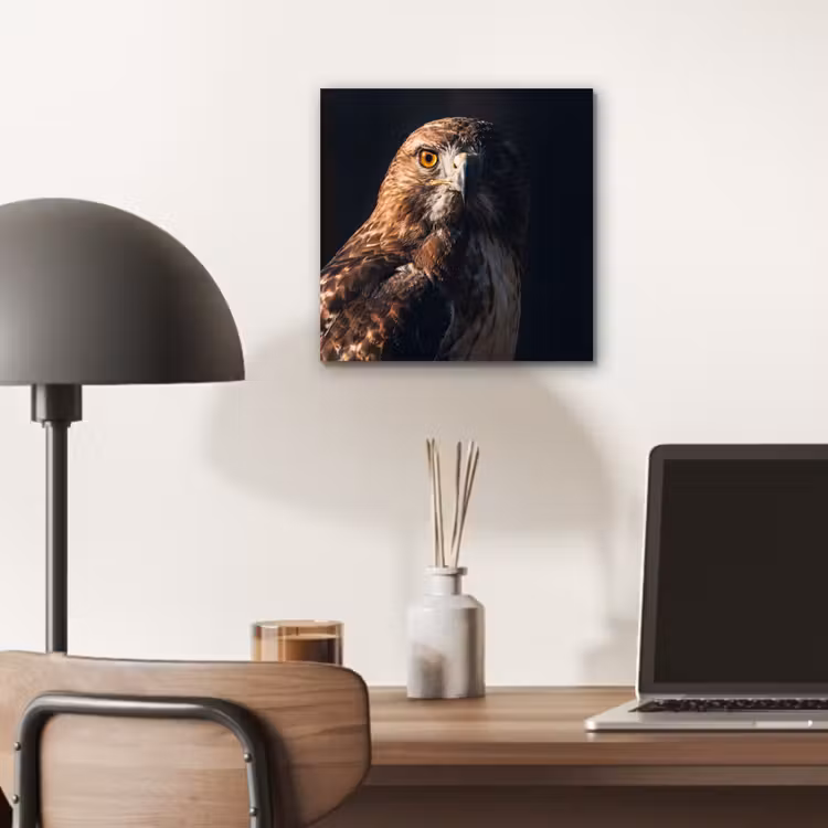 Roofvogel - Buizerd - Bruin aluminium wit klein -sfeer5