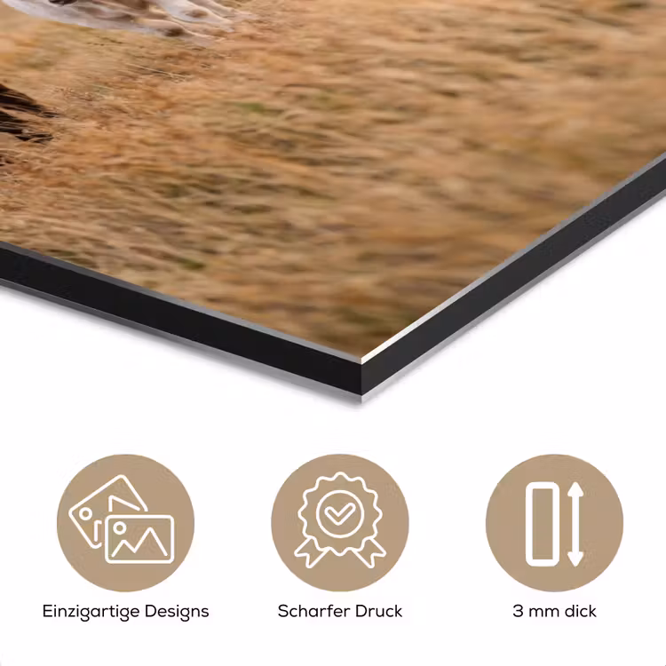 Runderen - Kudde - Landschap - Weide - Rustig aluminium wit klein -closeup_DE