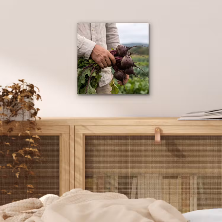 Bieten - Vers - Moestuin aluminium wit klein -sfeer3