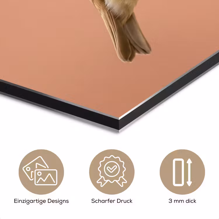 Roodborst - Natuur - Roze aluminium wit klein -closeup_DE