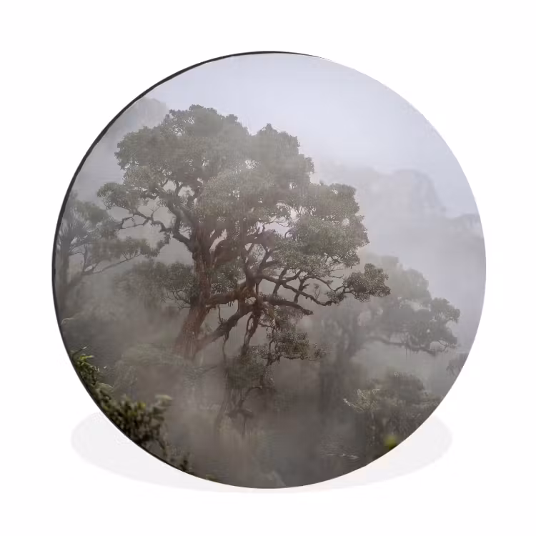 Boom - Mistig - Bos - Groen - Natuur Wandcirkel aluminium klein -3d