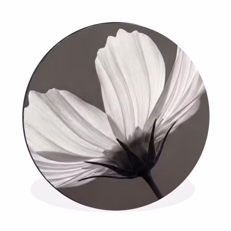 Bloem - Minimalistisch - Zwart - Wit Wandcirkel aluminium klein -3d