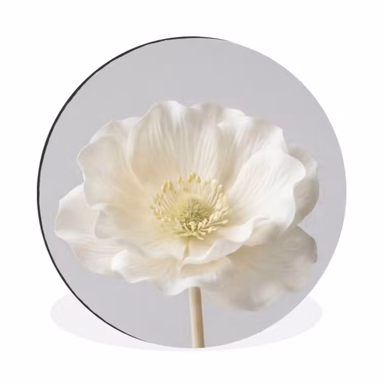 Bloem - Minimalistisch -Wit Wandcirkel aluminium klein -3d