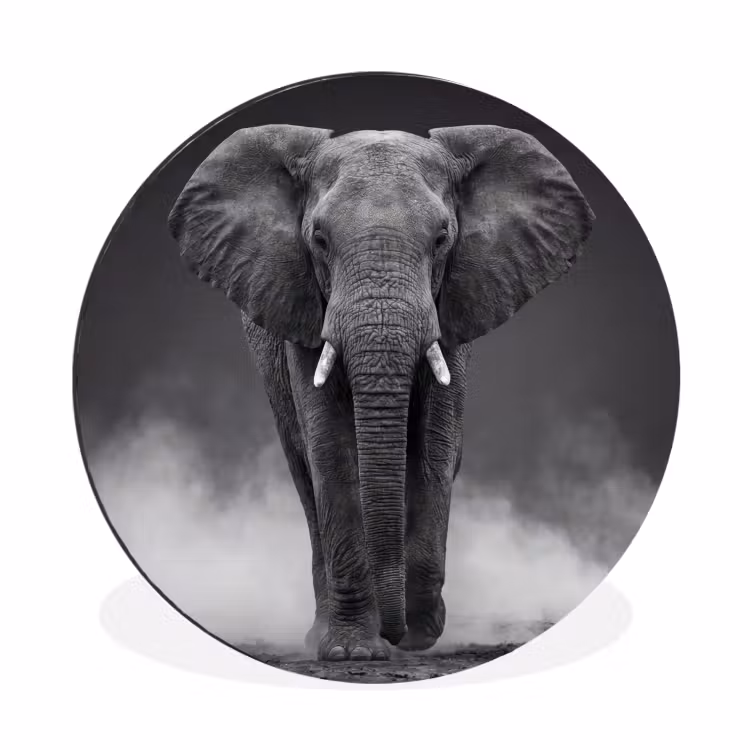 Olifant - Zwart - Wit - Rook Wandcirkel aluminium klein -3d