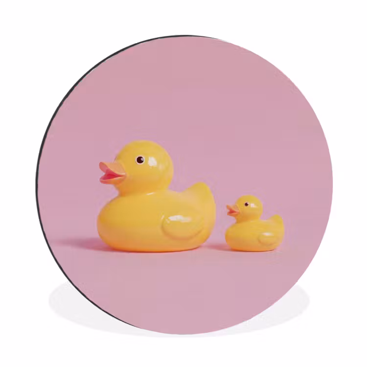 Eendjes - Vrolijk - Roze Wandcirkel aluminium klein -3d