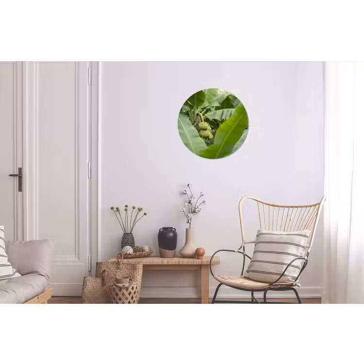 Eten - Bananen - Plantage - Groen Wandcirkel aluminium klein -woonkamer