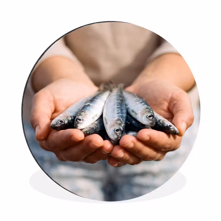 Alu-Dibond-Bild Rund - Fisch – Hände – Natur - Vis - Handen - Natuur Wandcirkel aluminium klein