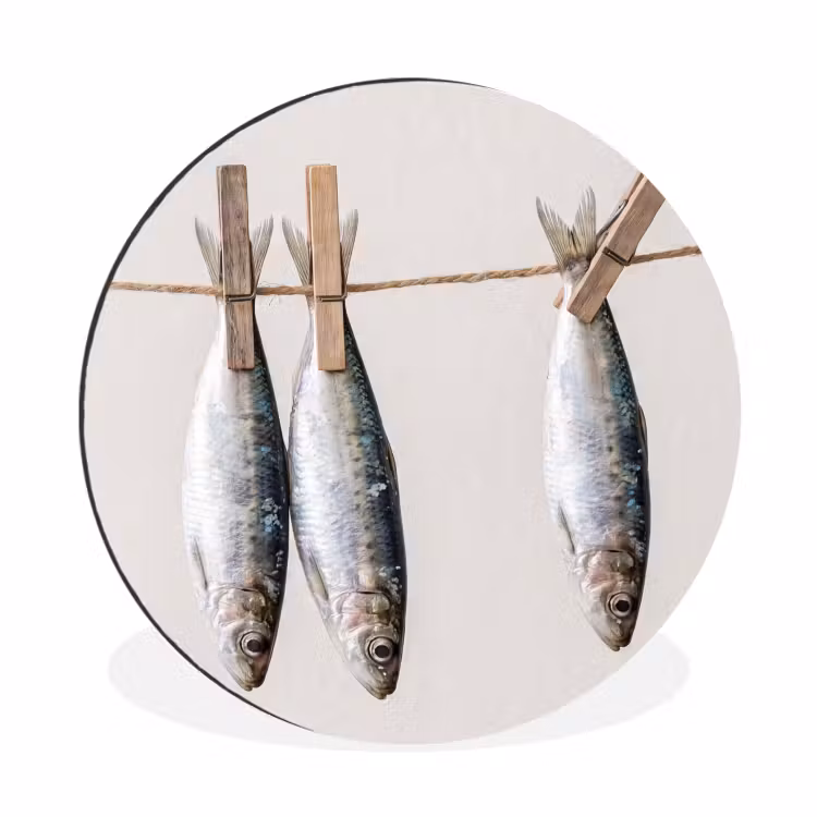 Alu-Dibond-Bild Rund - Fisch – Hängend – Essen - Vis - Hangend - Eten Wandcirkel aluminium klein