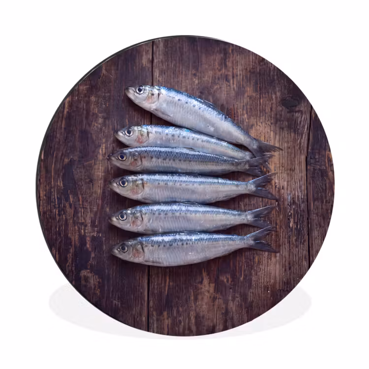 Alu-Dibond-Bild Rund - Fisch – Holz – Essen - Vis - Hout - Eten Wandcirkel aluminium klein