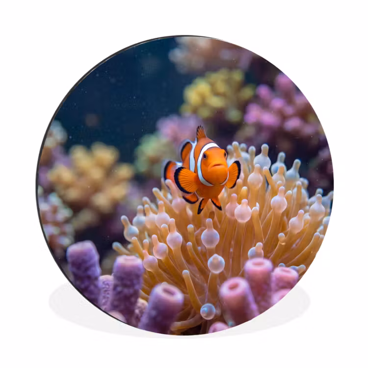 Vis - Koraal - Onderwater - Oranje - Dieren Wandcirkel aluminium klein -3d