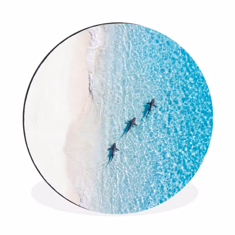 Vis - Oceaan - Strand - Turquoise - Natuur Wandcirkel aluminium klein -3d