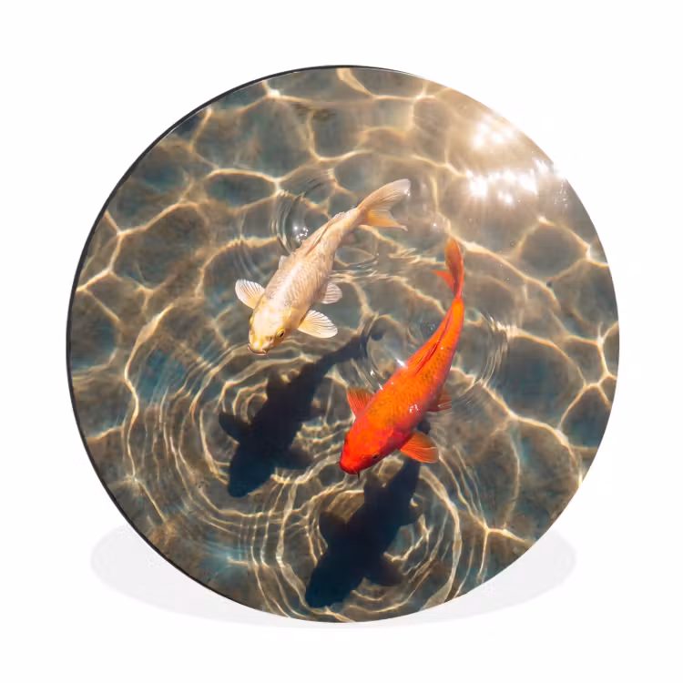 Vis - Water - Dieren - Oranje - Goud Wandcirkel aluminium klein -3d