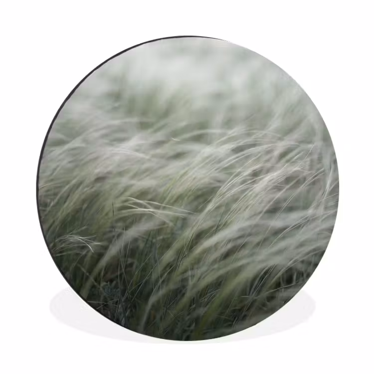 Gras - Wazig - Natuur - Groen - Zacht Wandcirkel aluminium klein -3d