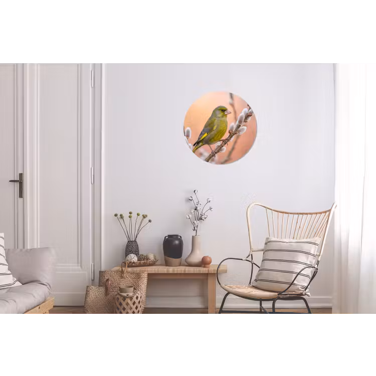 Groenling - Katjes - Lente - Natuur - Zacht Wandcirkel aluminium klein -woonkamer