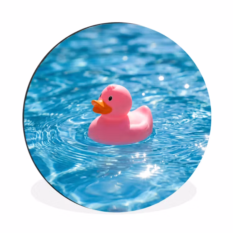 Badeend - Dobberend - Roze Wandcirkel aluminium klein -3d
