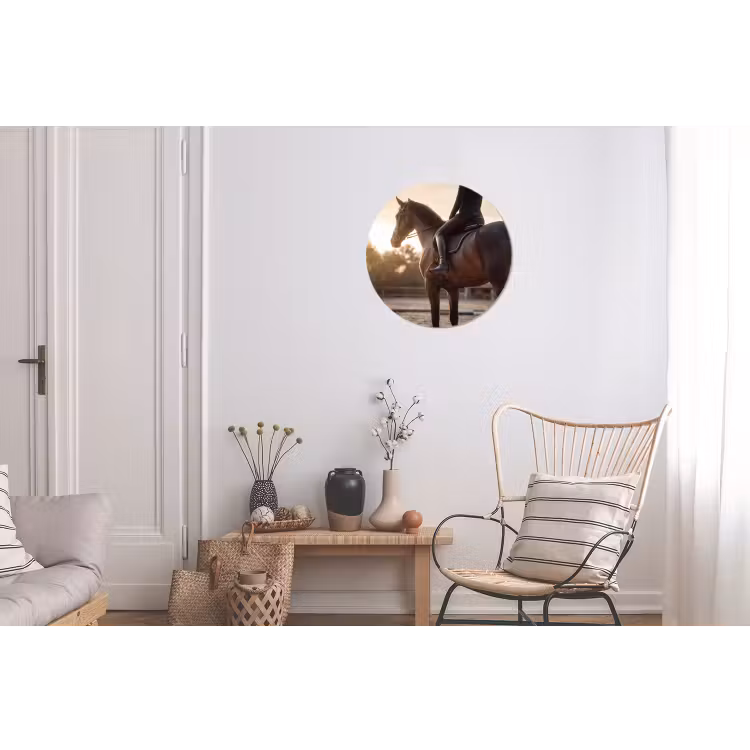 Harmonie - Ruiter - Zon Wandcirkel aluminium klein -woonkamer