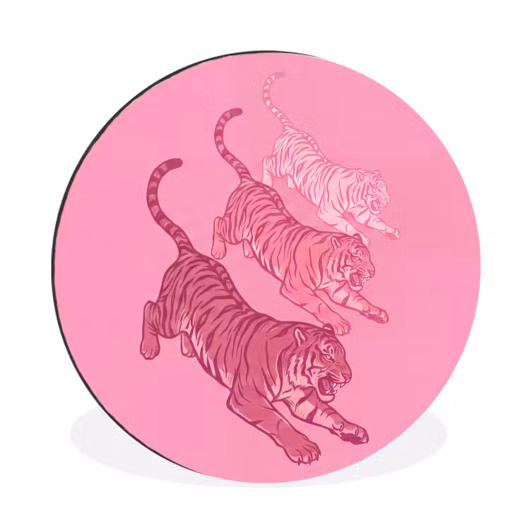 Kat - Springend - Dieren - Roze - Modern Wandcirkel aluminium klein -3d