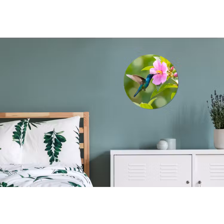 Kolibrie - Bloem - Natuur - Groen Wandcirkel aluminium klein -slaapkamer