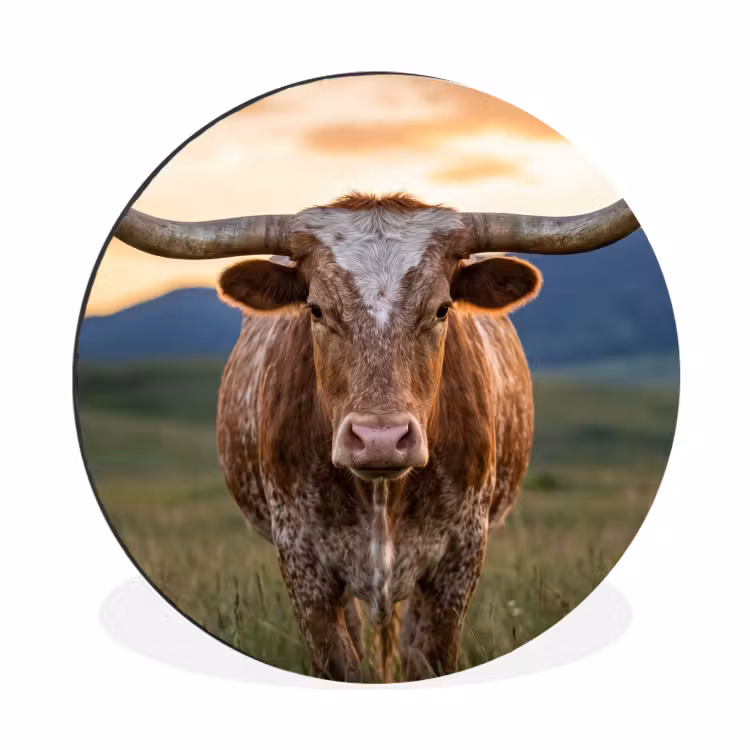 Longhorn - Landschap - Zonsondergang Wandcirkel aluminium klein -3d
