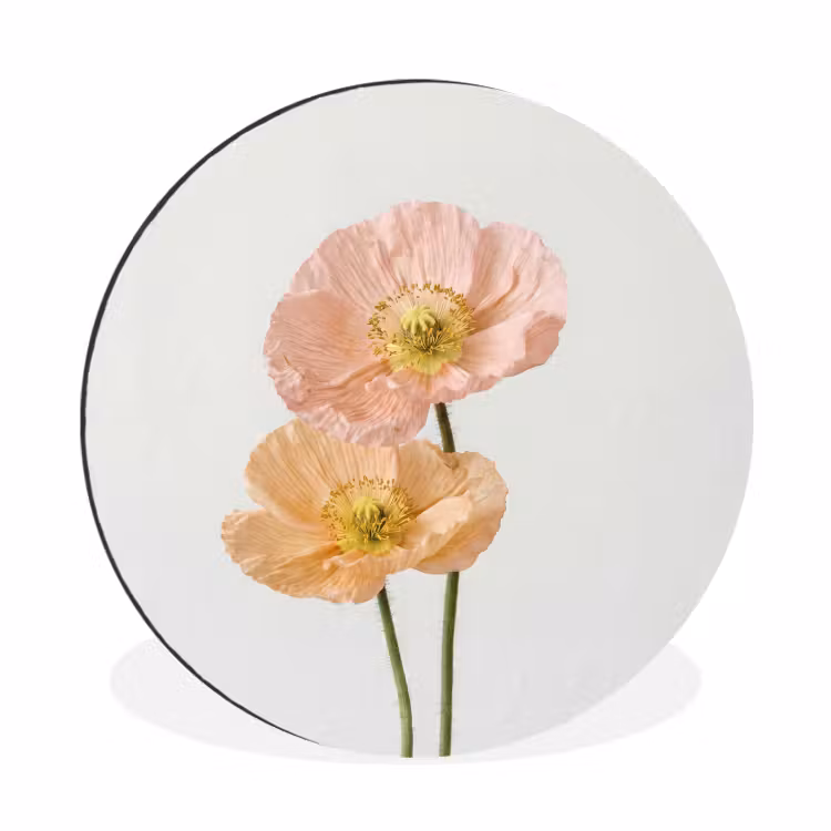 Papavers - Botanisch - Roze Wandcirkel aluminium klein -3d
