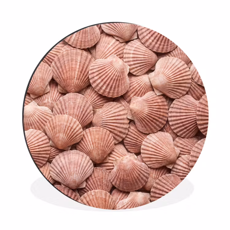 Schelpen - Patroon - Roze Wandcirkel aluminium klein -3d