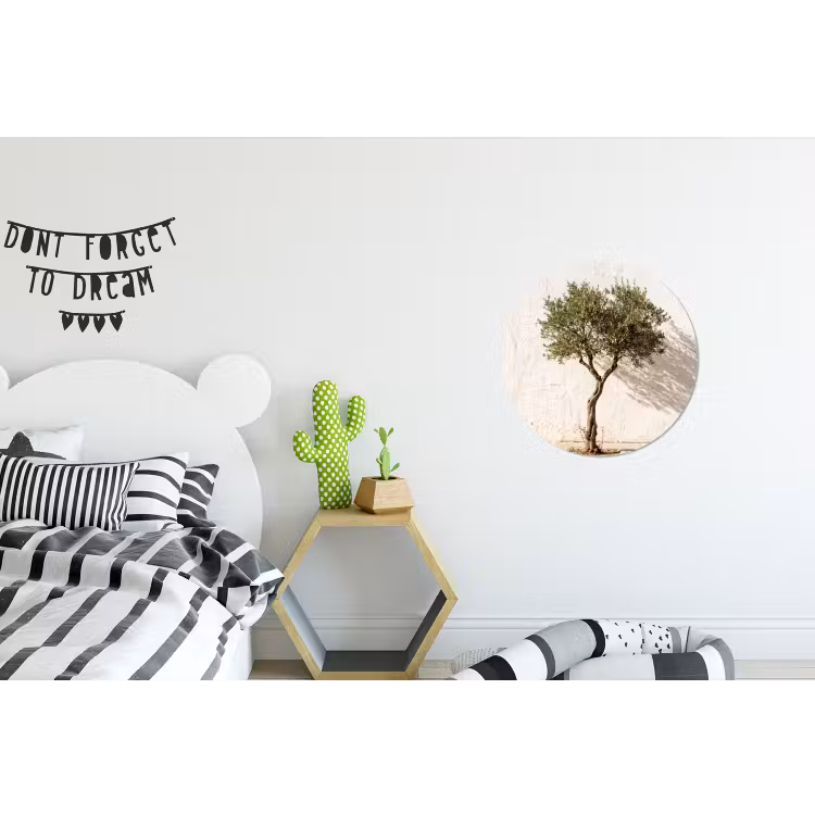 Alu-Dibond-Bild Rund - Olivenbaum – Wand – weiß - Olijfboom - muur - wit Wandcirkel aluminium klein