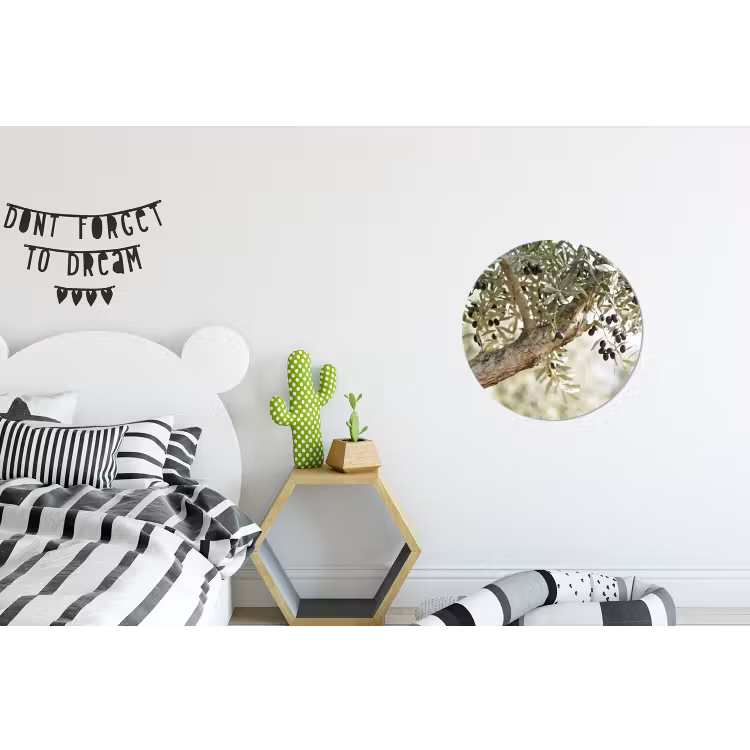 Alu-Dibond-Bild Rund - Olivenbaum – Zweig – grün - Olijfboom - tak - groen Wandcirkel aluminium klein