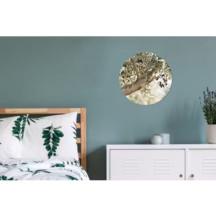Alu-Dibond-Bild Rund - Olivenbaum – Zweig – grün - Olijfboom - tak - groen Wandcirkel aluminium klein