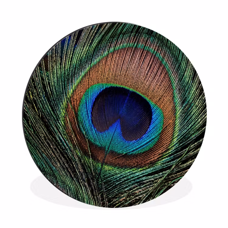 Pauwenveren - Klassiek - Groen Wandcirkel aluminium klein -3d