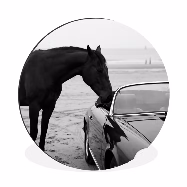 Paard - Auto - Zwart - Wit Wandcirkel aluminium klein -3d