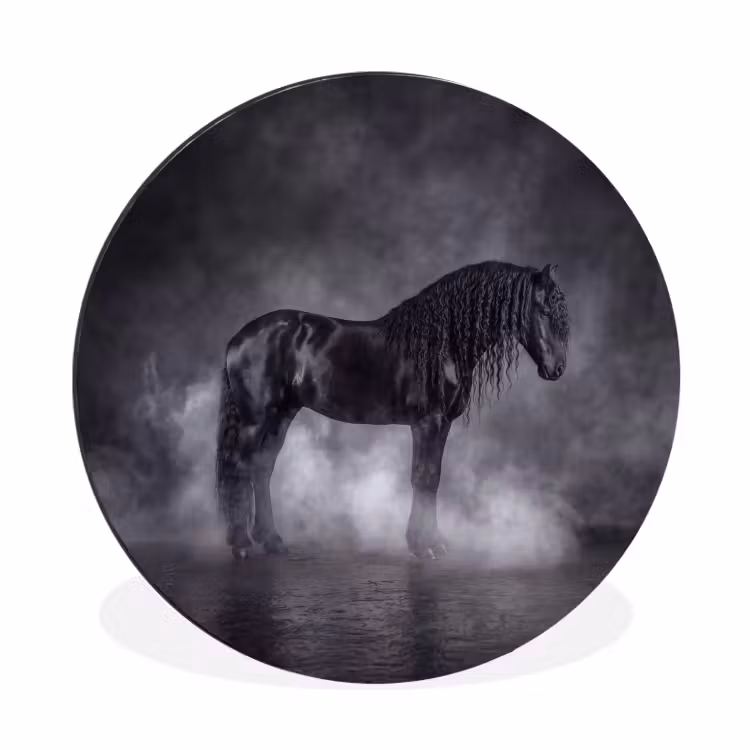 Paard - Magisch - Zwart Wandcirkel aluminium klein -3d