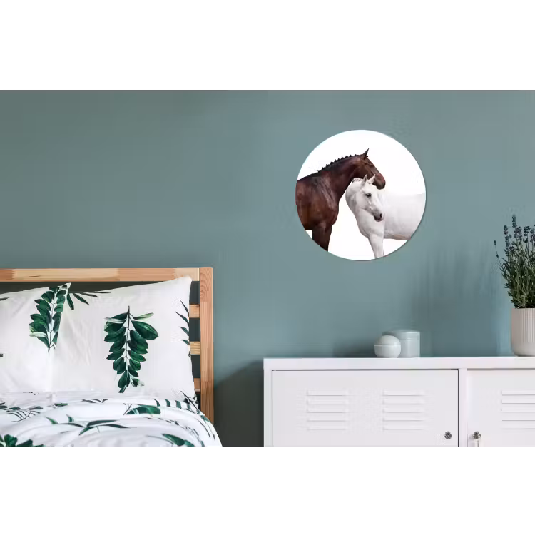 Paard - Modern - Balans Wandcirkel aluminium klein -slaapkamer