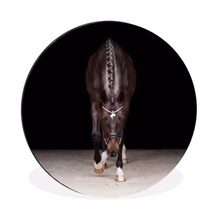 Paard - Modern - Portret Wandcirkel aluminium klein -3d