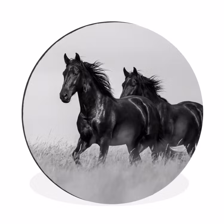 Paarden - Gras - Zwart - Wit Wandcirkel aluminium klein -3d