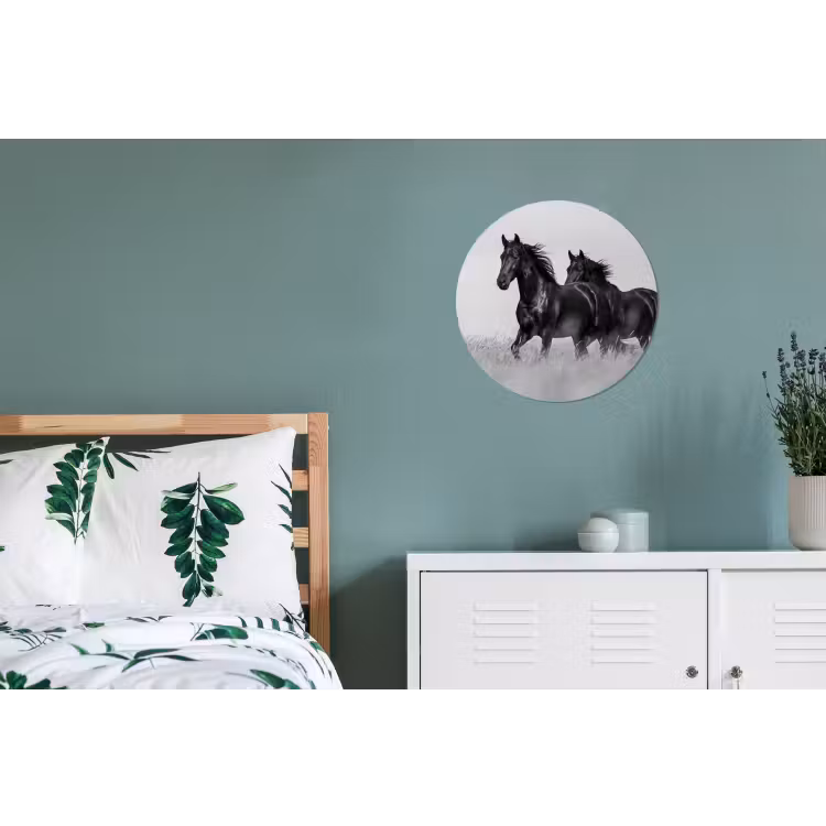 Paarden - Gras - Zwart - Wit Wandcirkel aluminium klein -slaapkamer