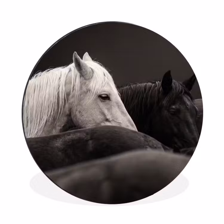 Paarden - Zwart - Wit - Kudde Wandcirkel aluminium klein -3d